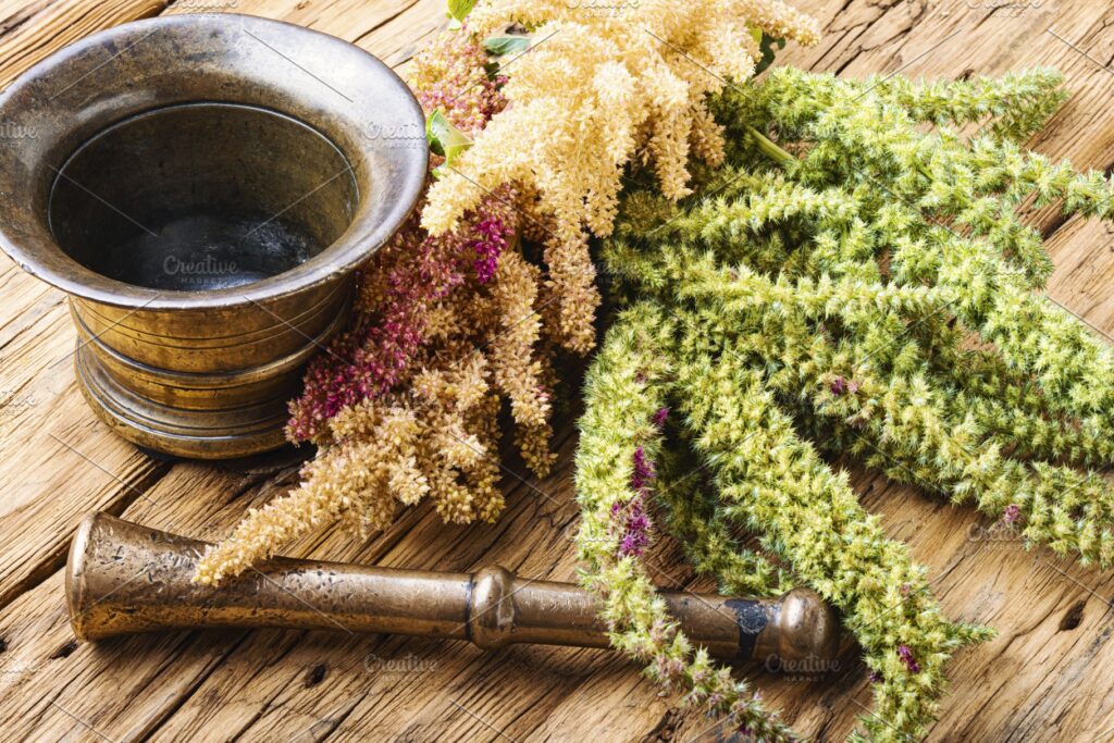 Ayurvedic Medicine Manufacturer in Patna Ayurvedic company in Patna