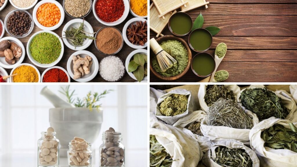 Ayurvedic Medicine Manufacturer in Ludhiana Ayurvedic Medicine Manufacturer in Ludhiana
