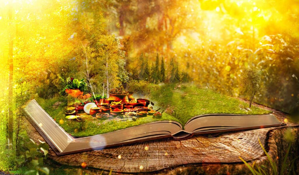 Ayurvedic Medicine Manufacturers in Paryagraj