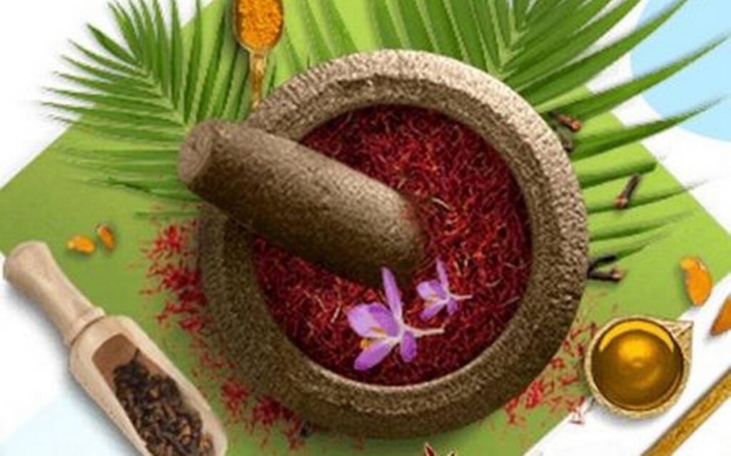 Ayurvedic Medicine Manufacturers in Vadodara