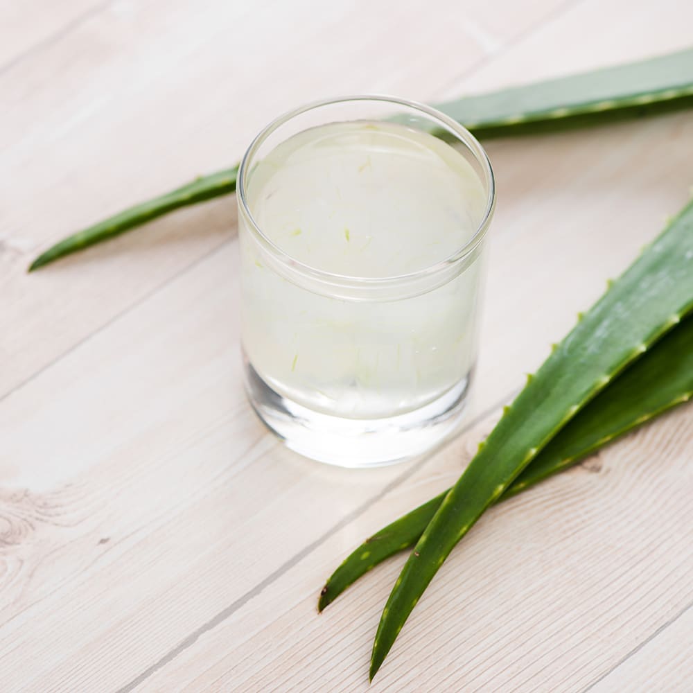 Aloe Vera Juice Manufacturer in India